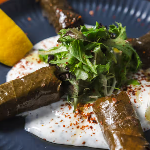 Dolma (12)